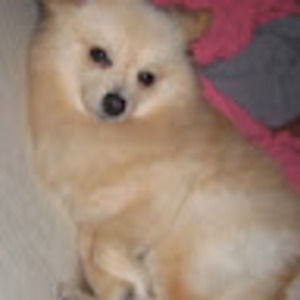 Meet your Posher, Marie